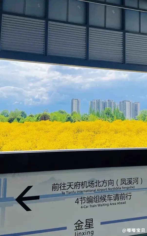 制定篮球交流计划以促进个人技能发展的方法_2